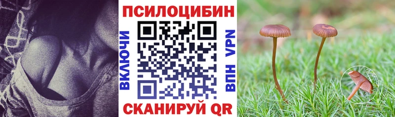 KRAKEN онион  Узловая  Псилоцибиновые грибы Psilocybine cubensis 